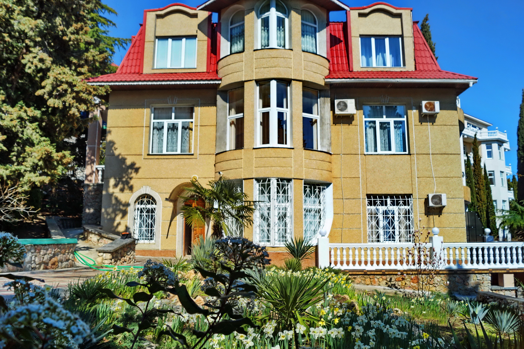 Image 10